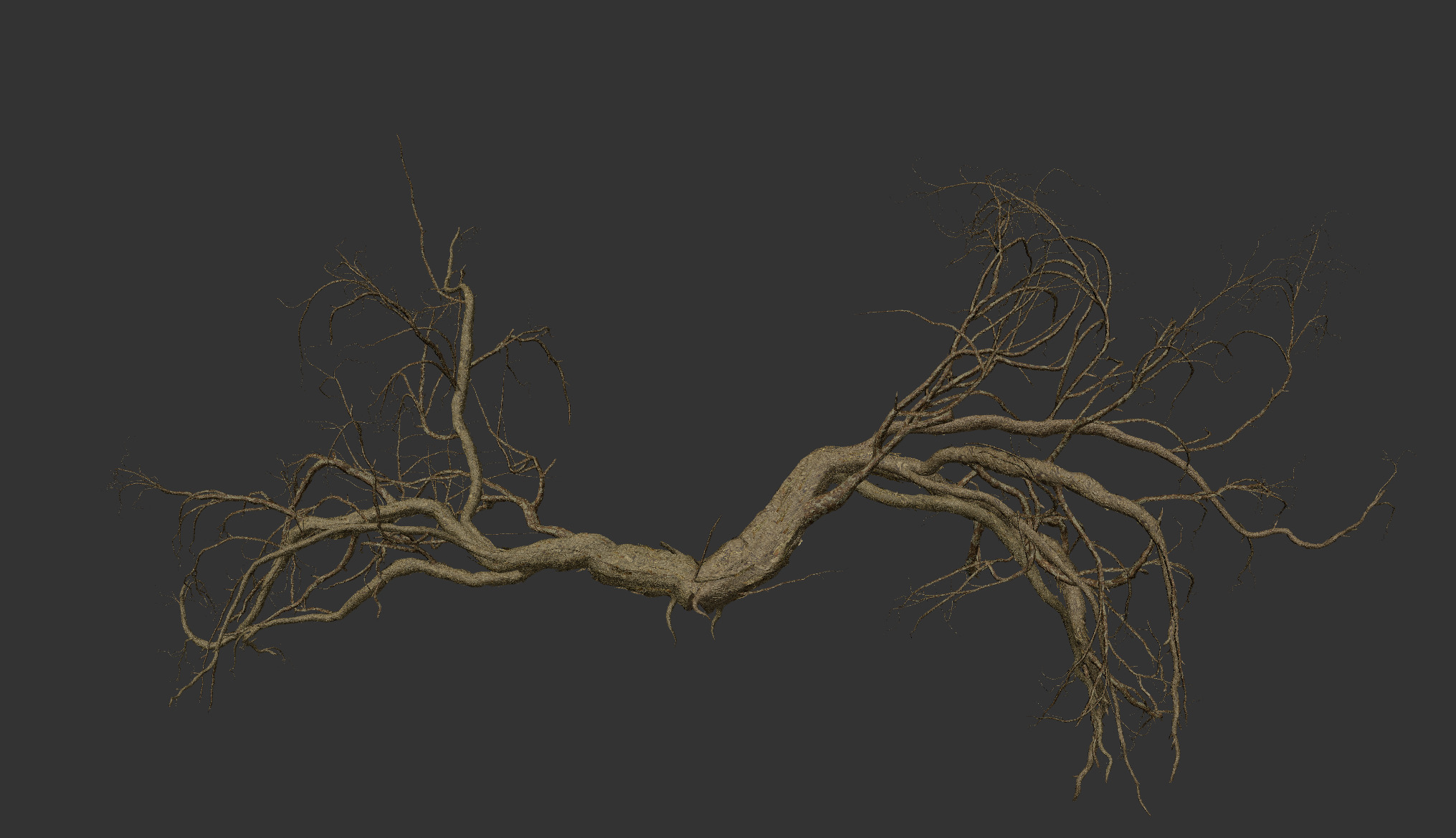 Lowpoly Dead Tree 06 3D model_2