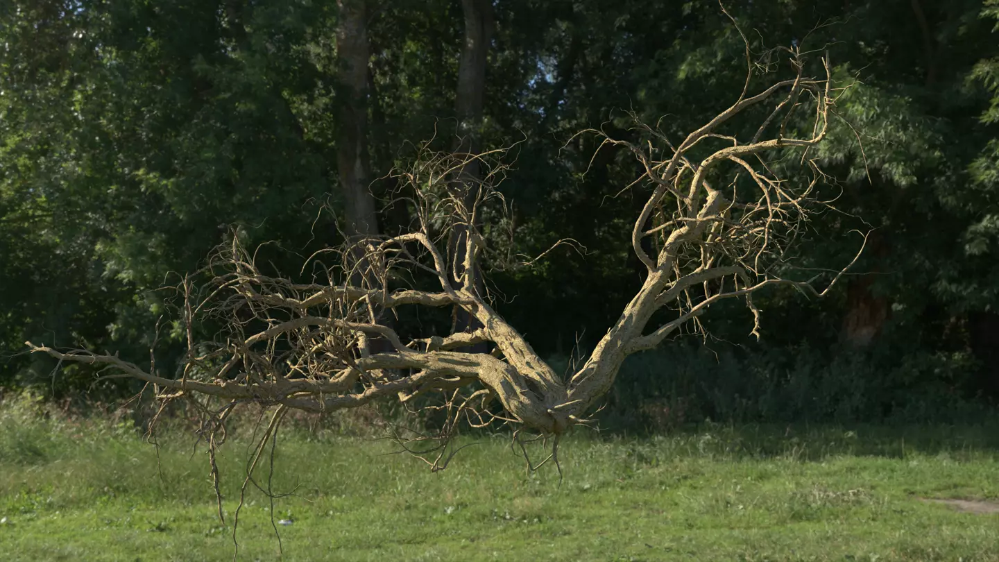 Lowpoly Dead Tree 07 3D model_0