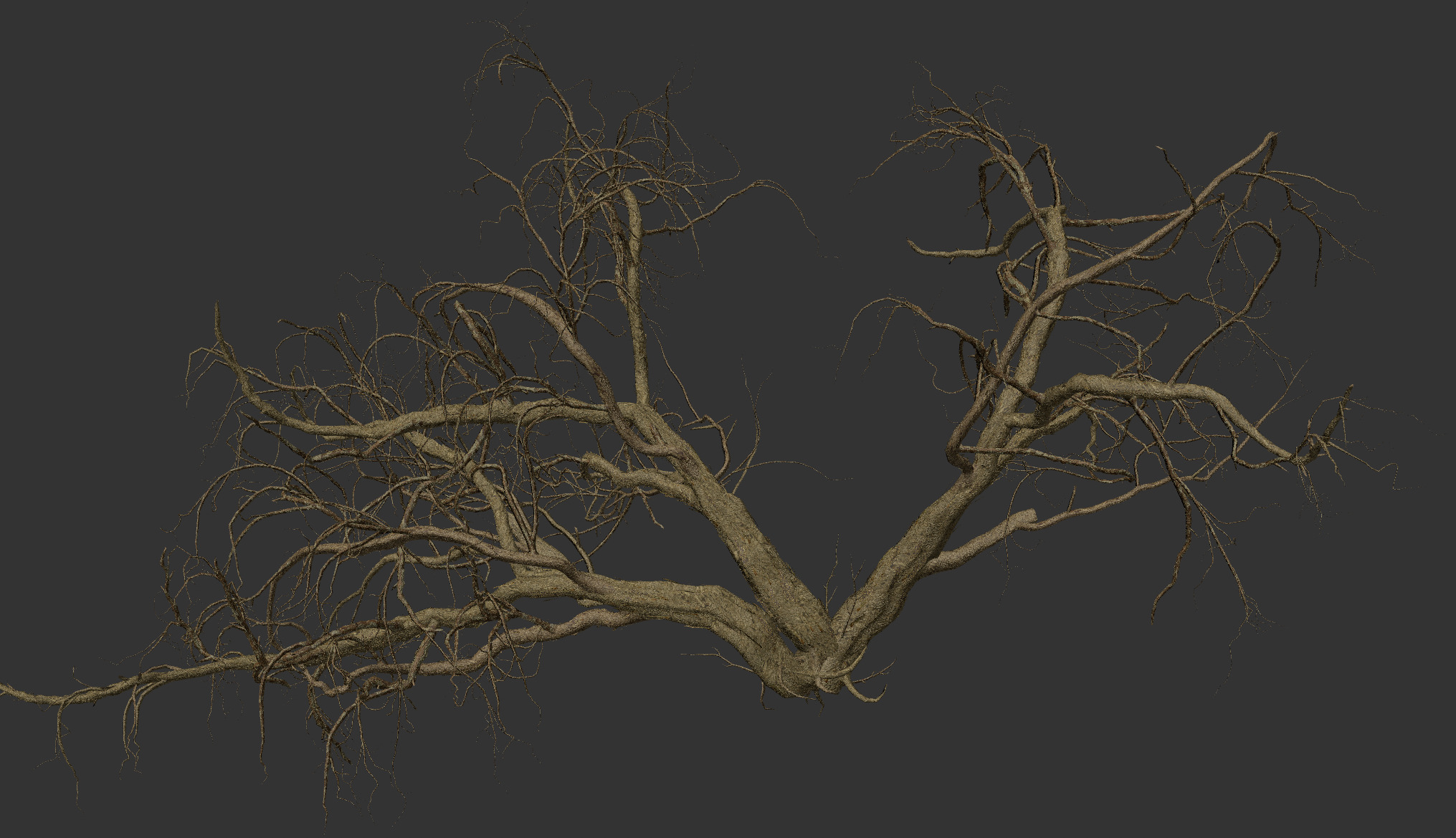 Lowpoly Dead Tree 07 3D model_3