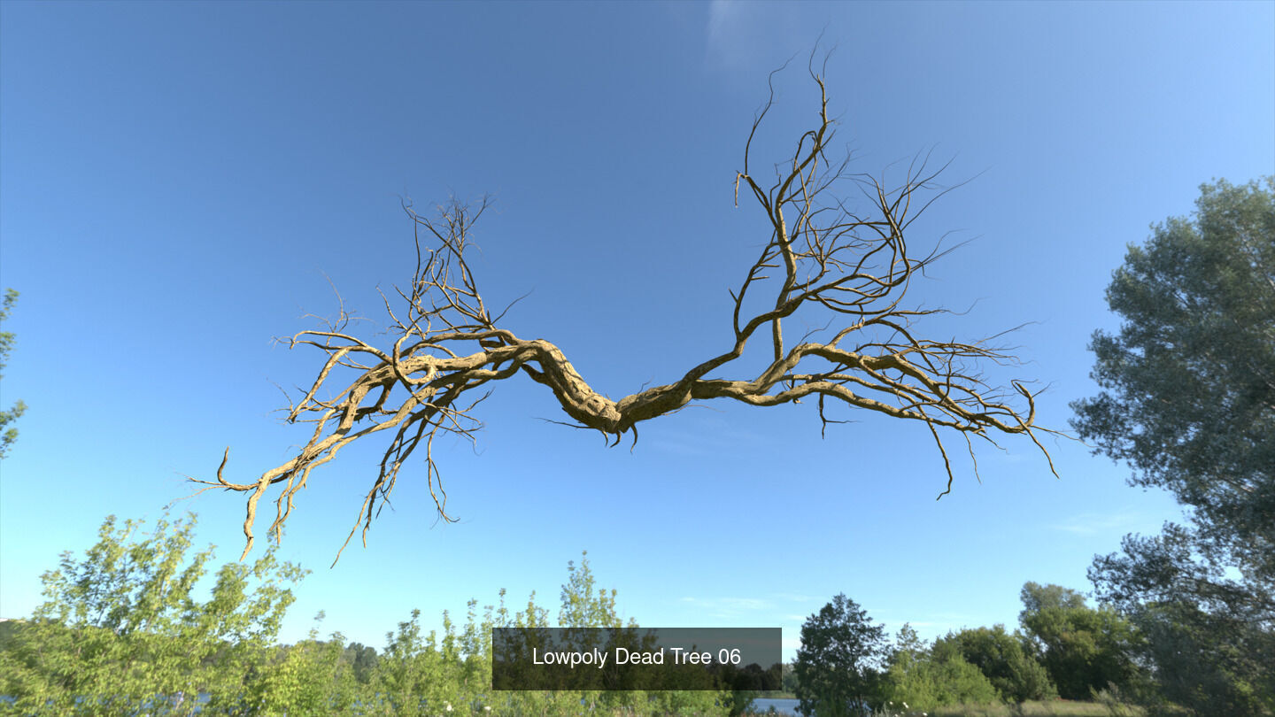 LowPoly Dead Tree Collection _6