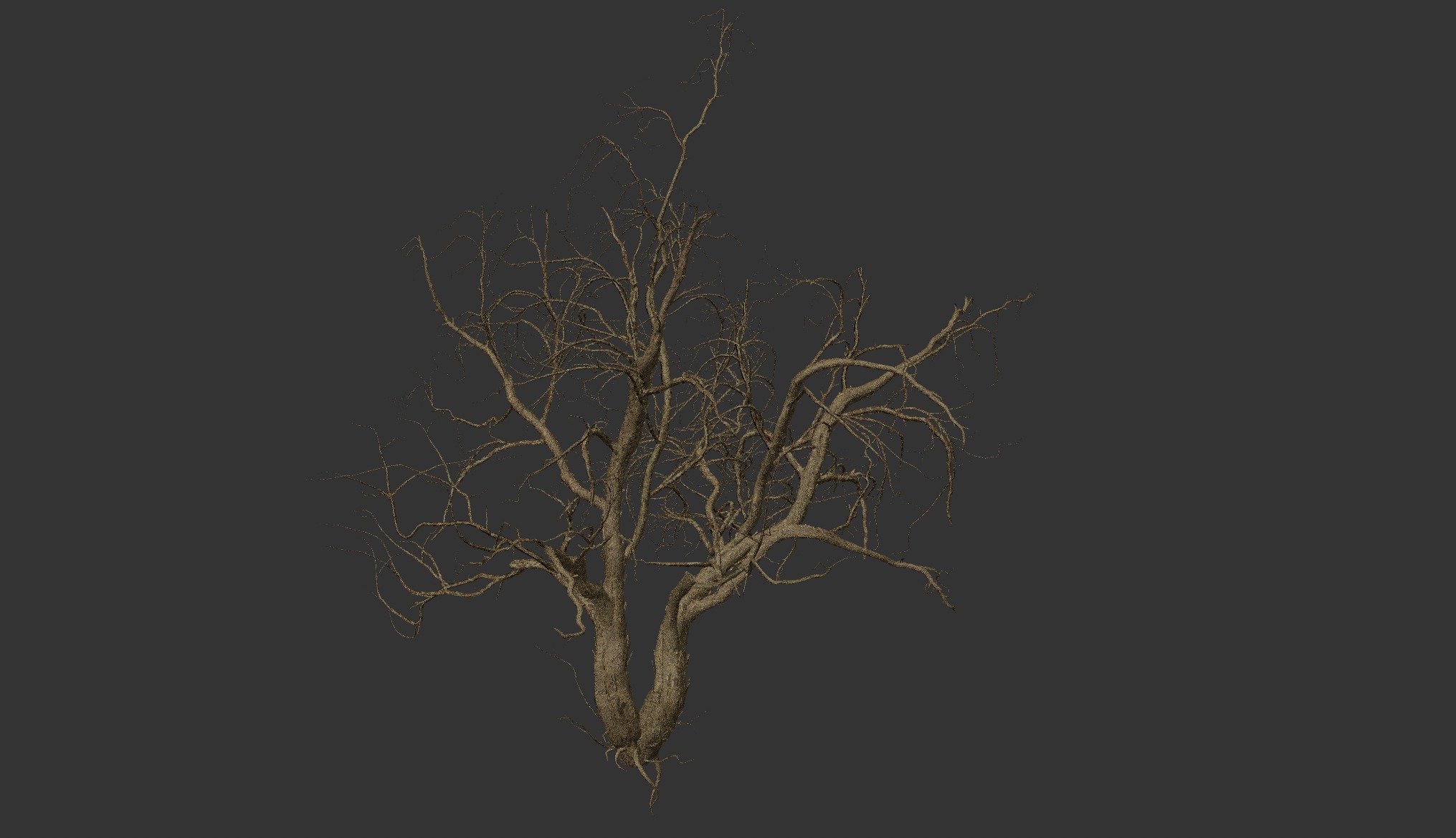 LowPoly Dead Tree Collection _17