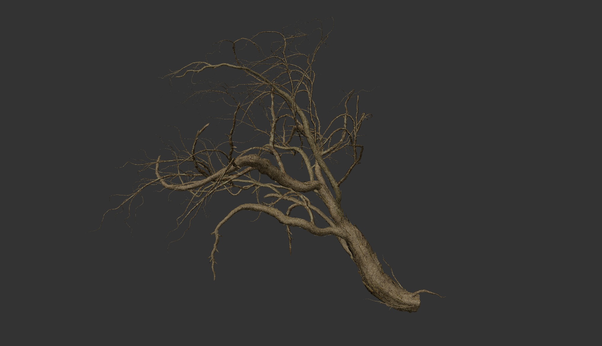 LowPoly Dead Tree Collection _20