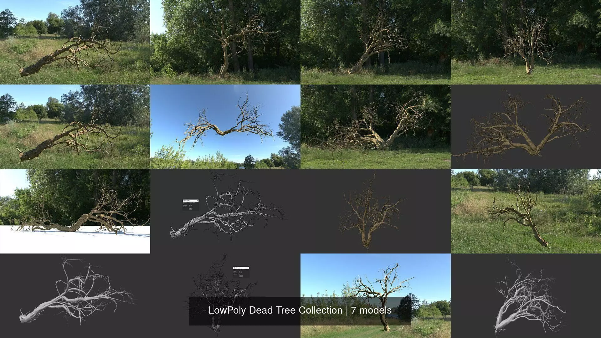 LowPoly Dead Tree Collection _0