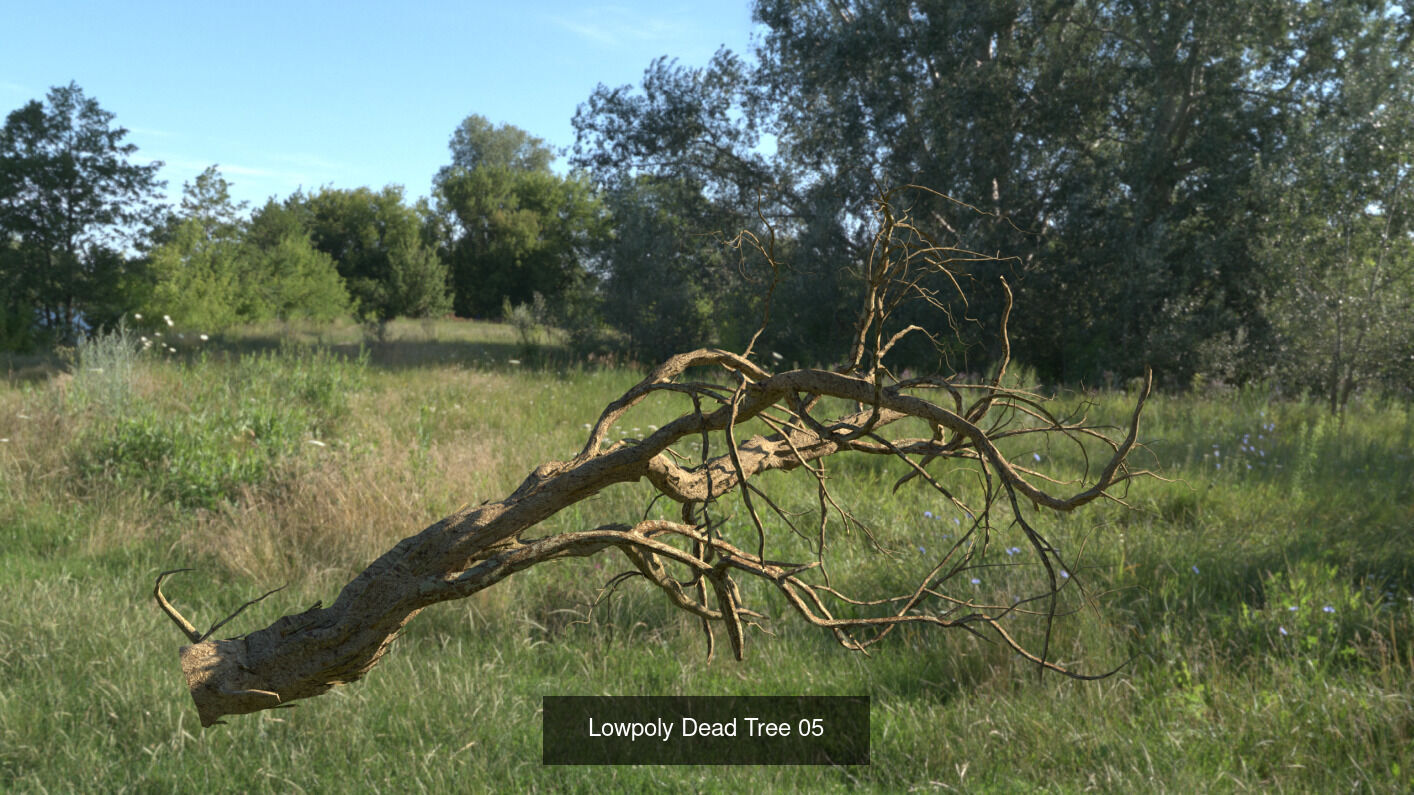 LowPoly Dead Tree Collection _5