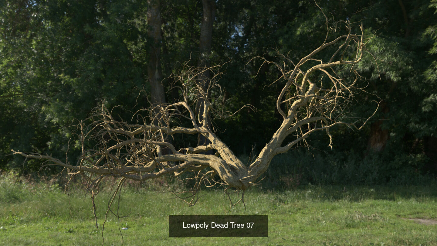 LowPoly Dead Tree Collection _7