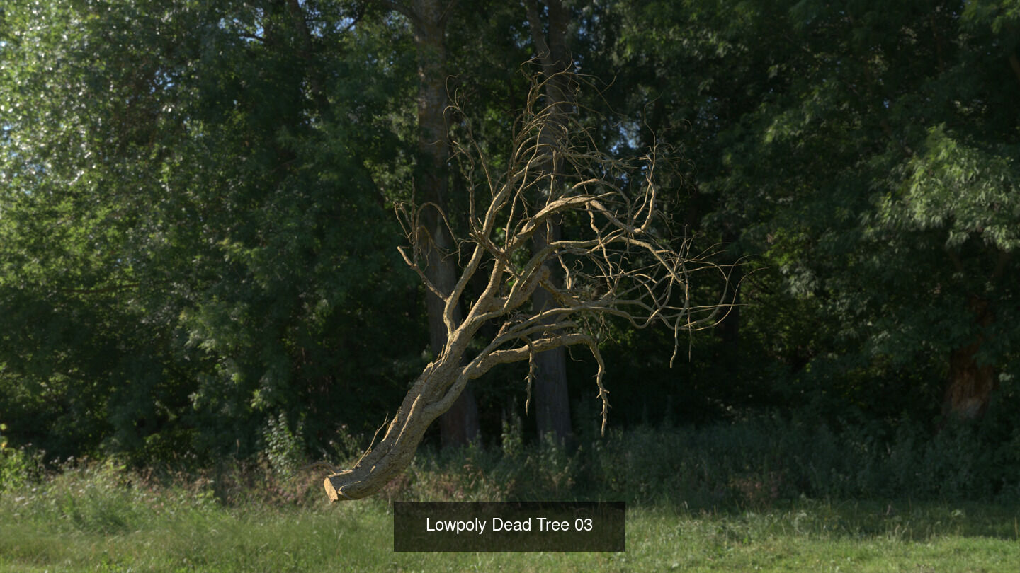 LowPoly Dead Tree Collection _3
