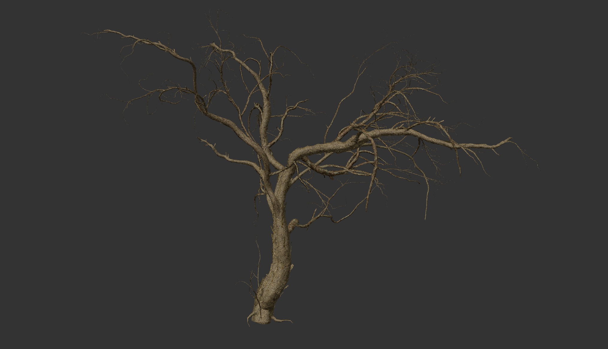 LowPoly Dead Tree Collection _23
