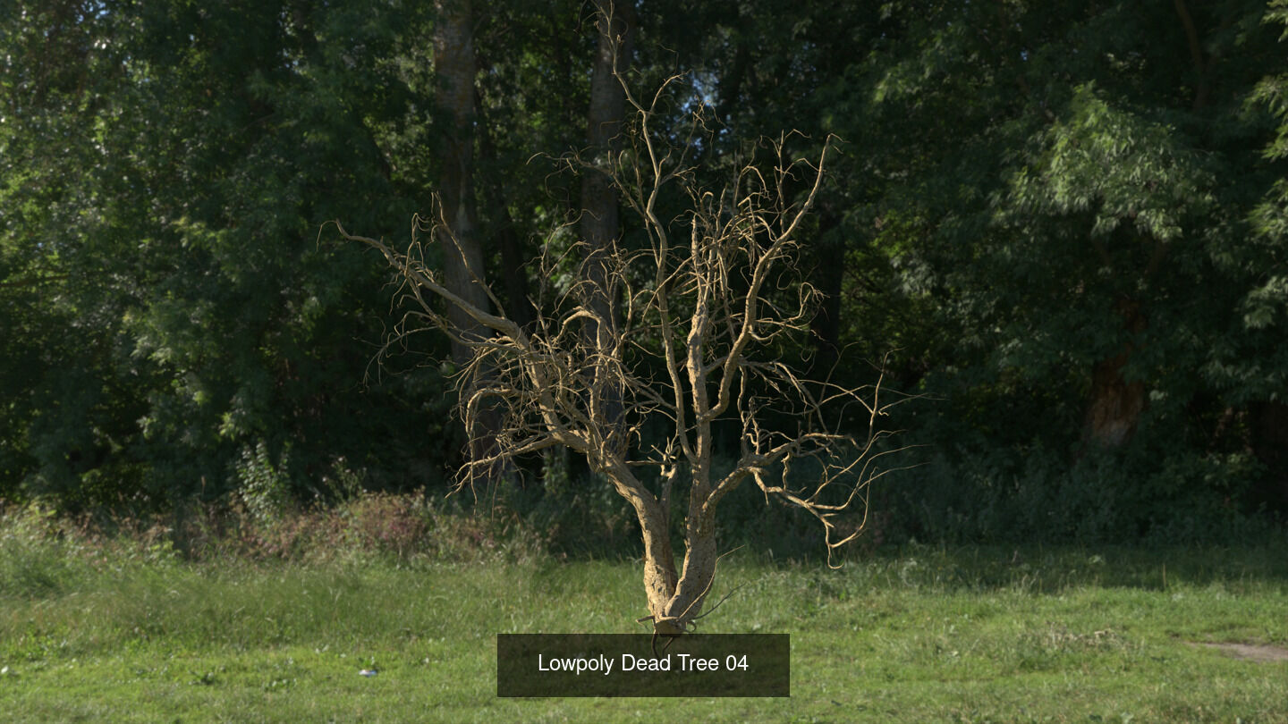 LowPoly Dead Tree Collection _4