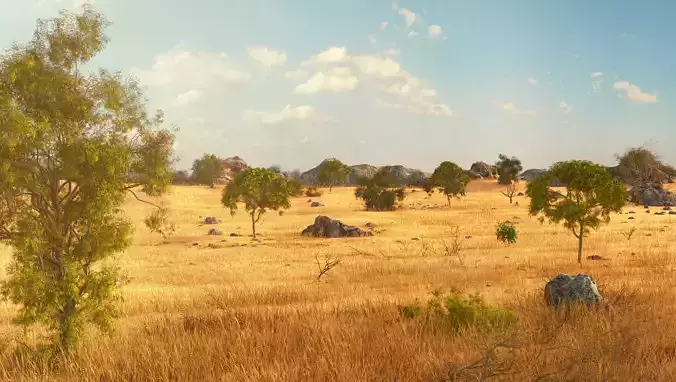 Savannah Environment 3D model