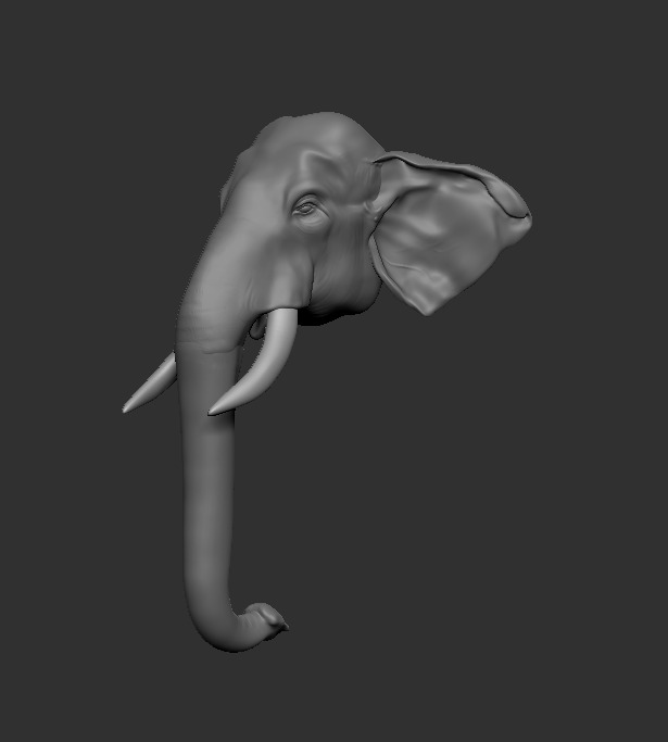 Asian Elephant head 3D model_3