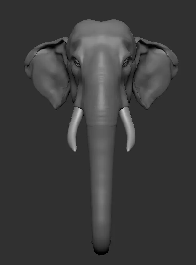 Asian Elephant head 3D model_0