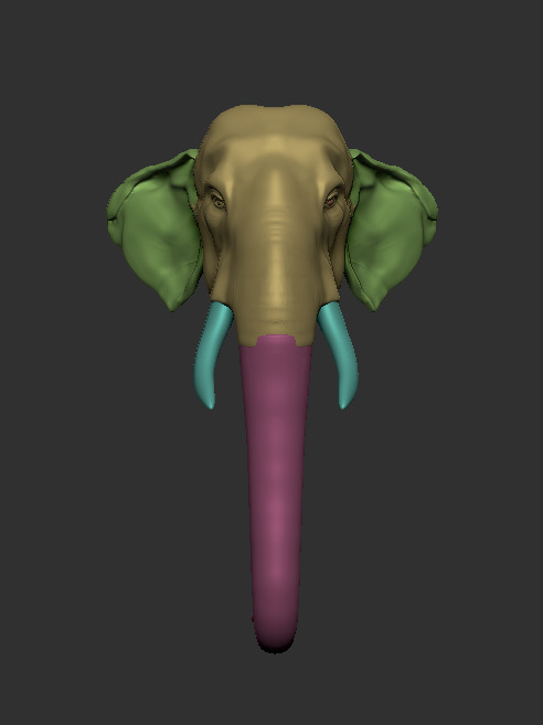 Asian Elephant head 3D model_6