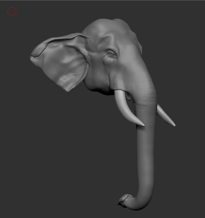 Asian Elephant head 3D model_1