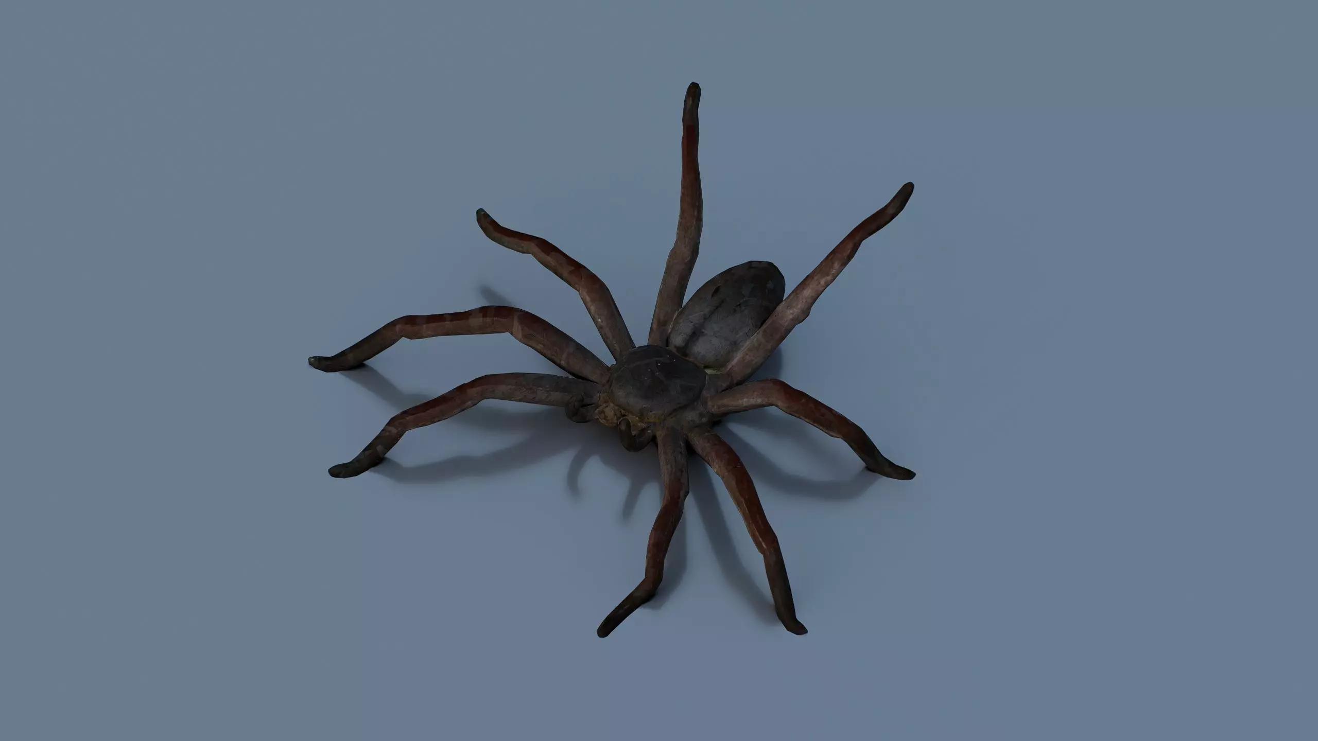 Spider Low-poly 3D model