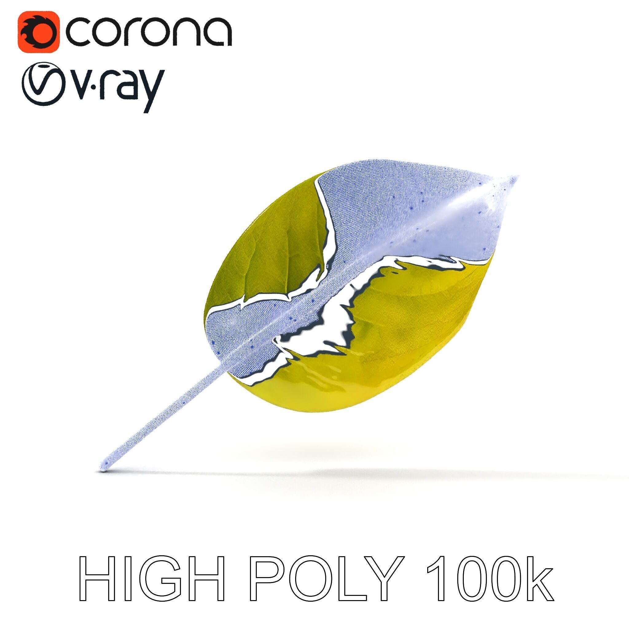 Realistic Leaf Model Pack for Rendering and Game Design Low-poly 3D model_20