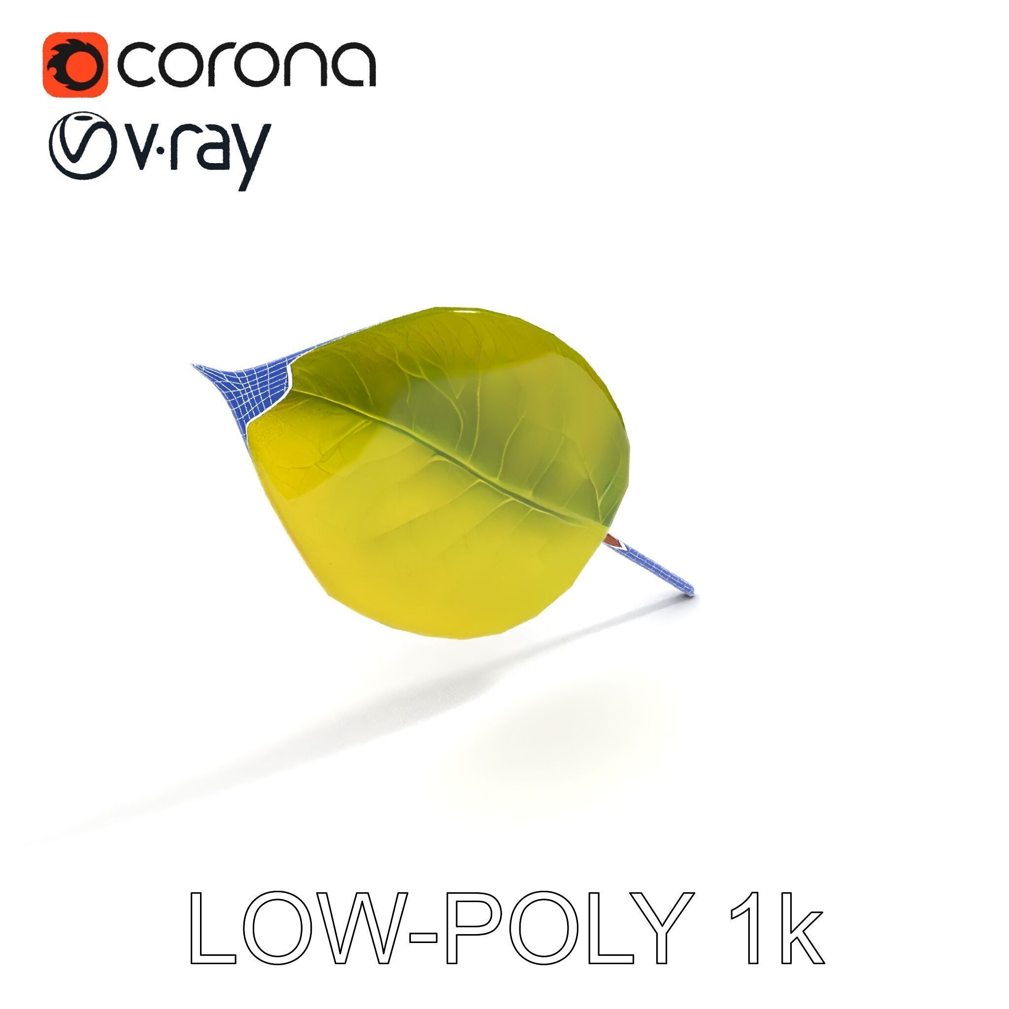Realistic Leaf Model Pack for Rendering and Game Design Low-poly 3D model_34
