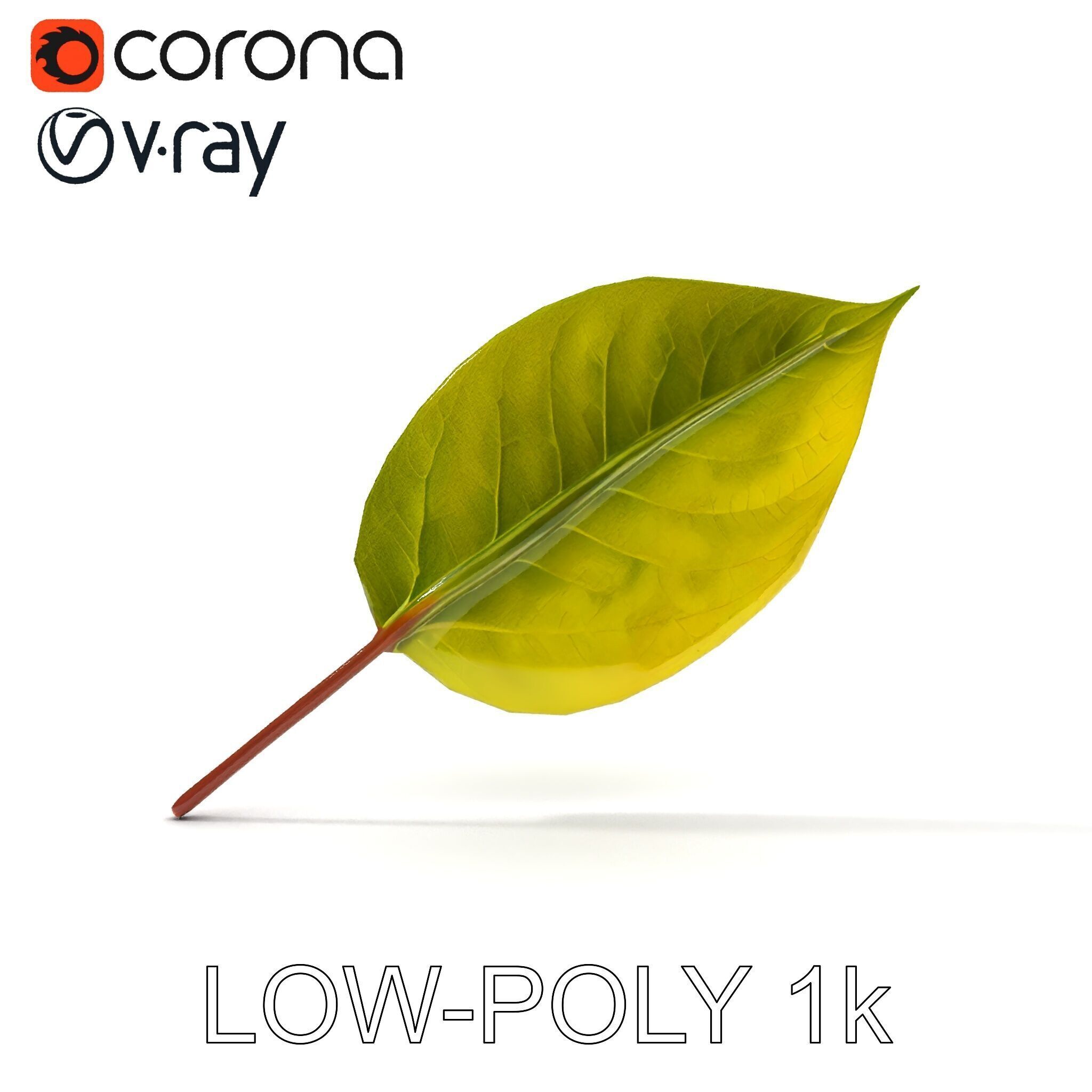 Realistic Leaf Model Pack for Rendering and Game Design Low-poly 3D model_30