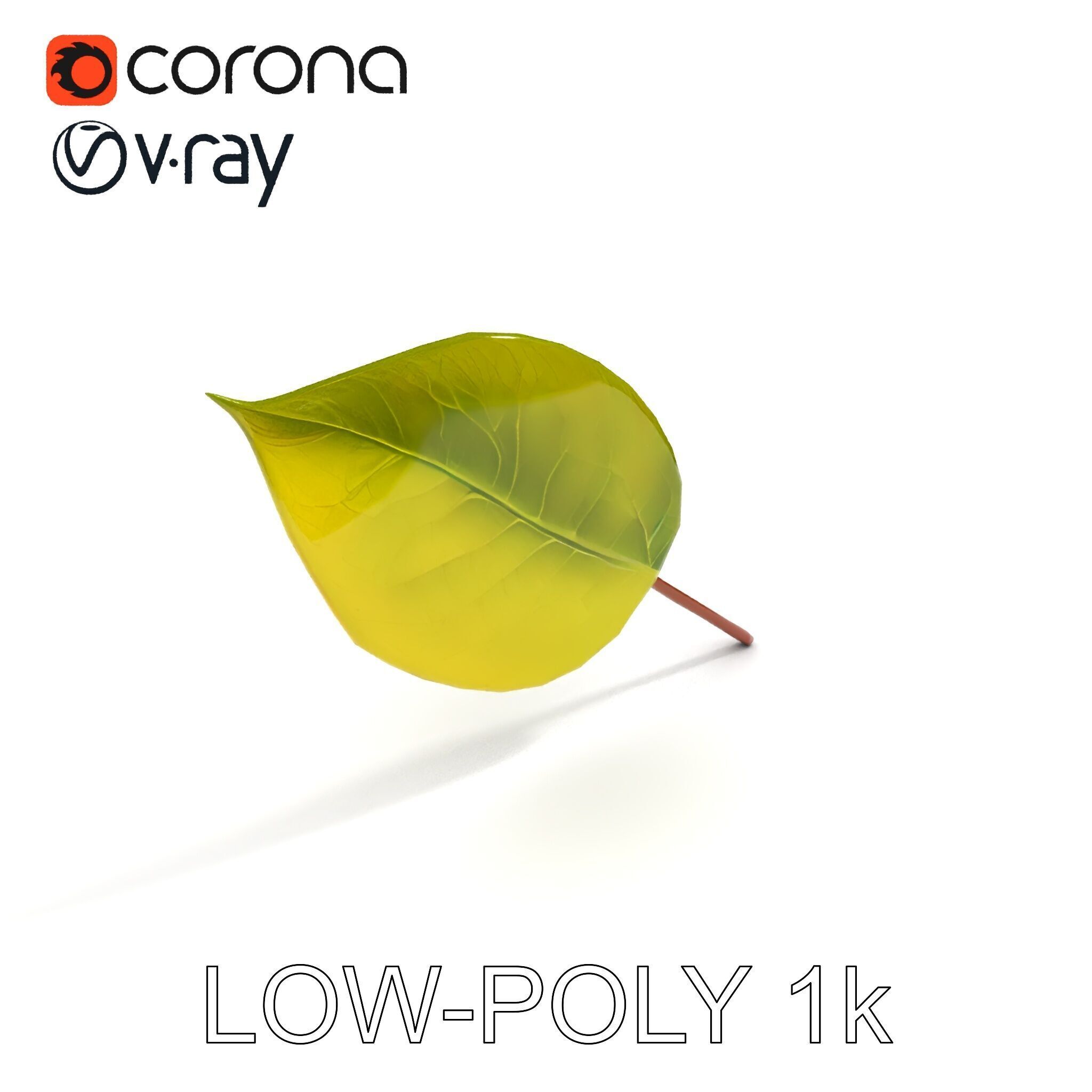 Realistic Leaf Model Pack for Rendering and Game Design Low-poly 3D model_13