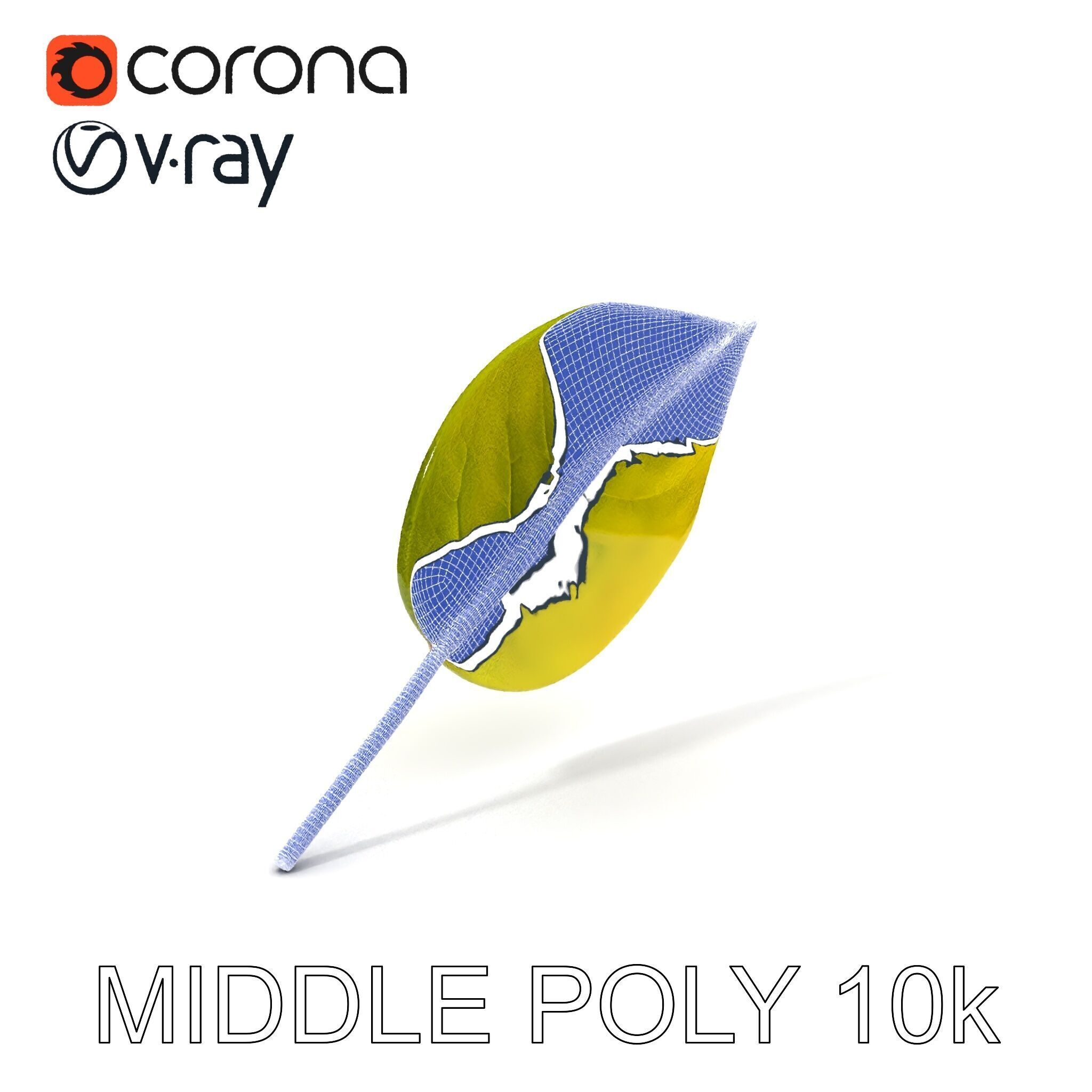 Realistic Leaf Model Pack for Rendering and Game Design Low-poly 3D model_31