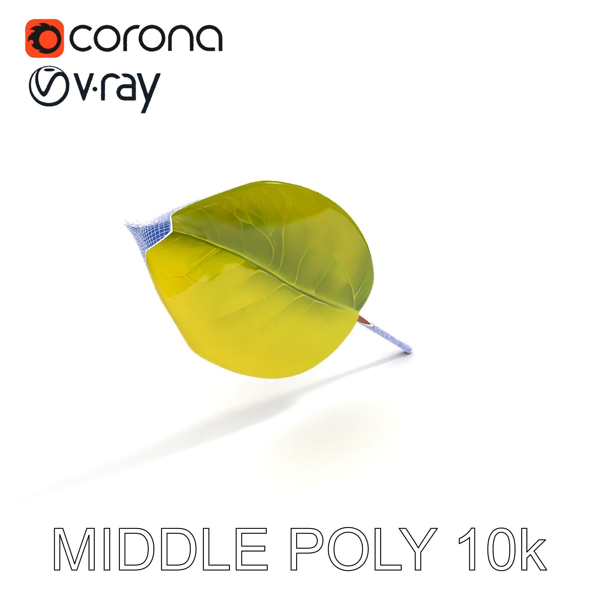 Realistic Leaf Model Pack for Rendering and Game Design Low-poly 3D model_29
