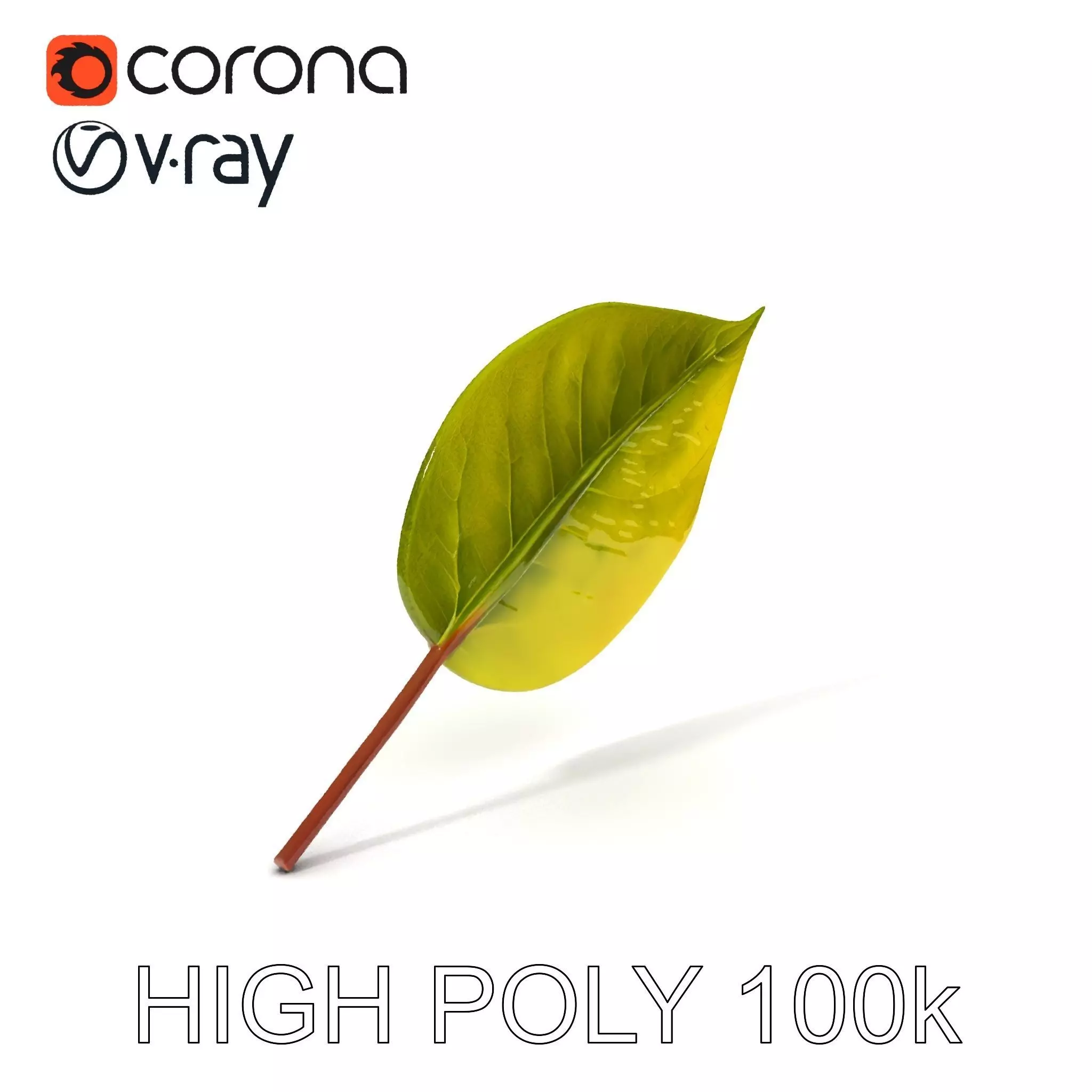 Realistic Leaf Model Pack for Rendering and Game Design Low-poly 3D model_0