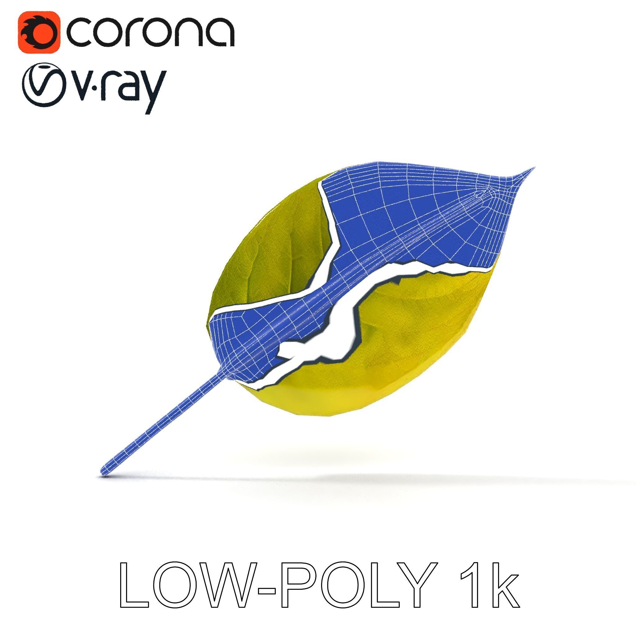 Realistic Leaf Model Pack for Rendering and Game Design Low-poly 3D model_19