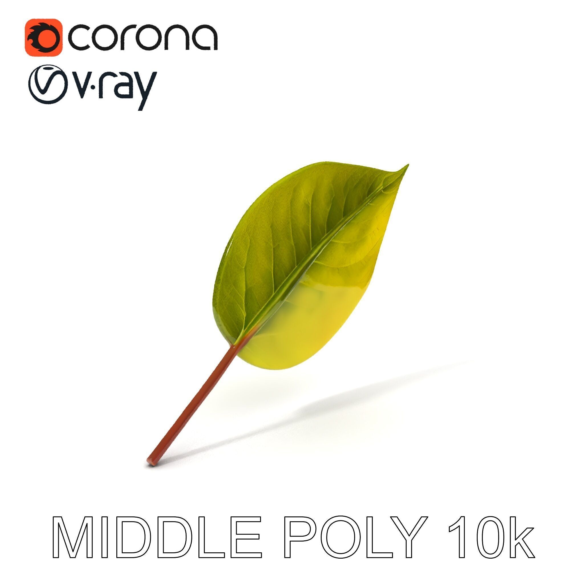 Realistic Leaf Model Pack for Rendering and Game Design Low-poly 3D model_9