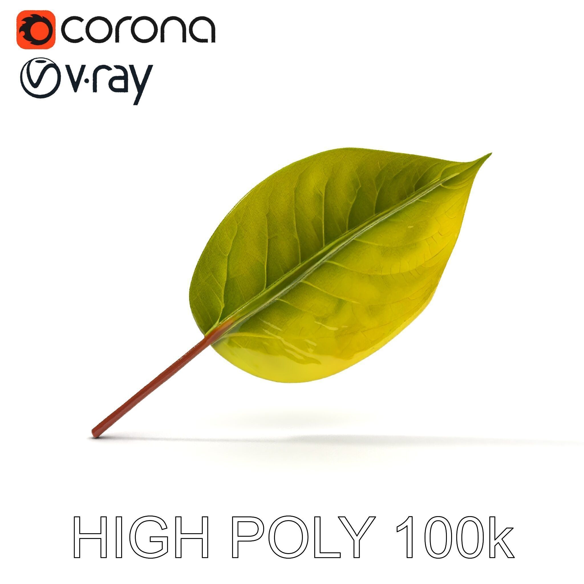 Realistic Leaf Model Pack for Rendering and Game Design Low-poly 3D model_14