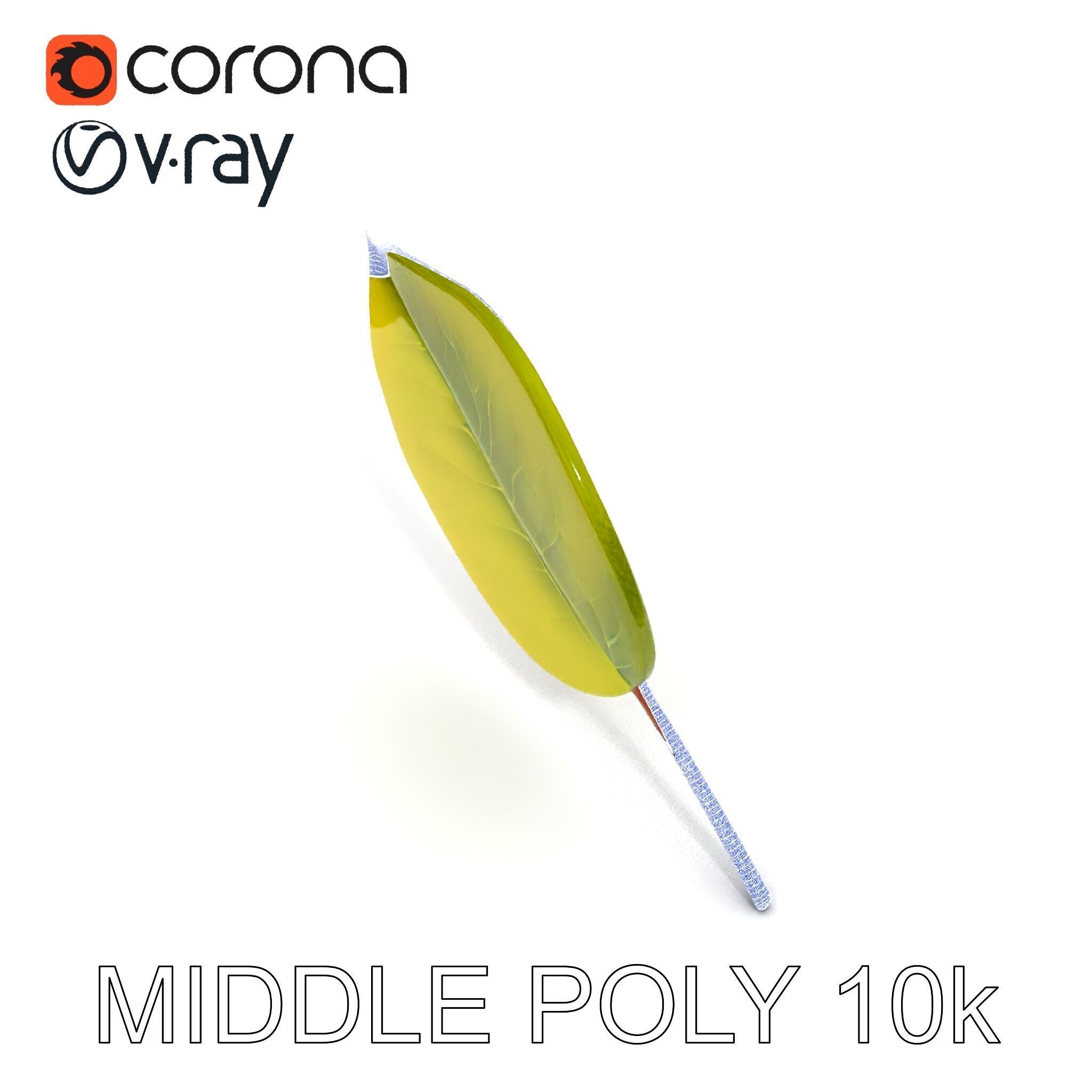 Realistic Leaf Model Pack for Rendering and Game Design Low-poly 3D model_6