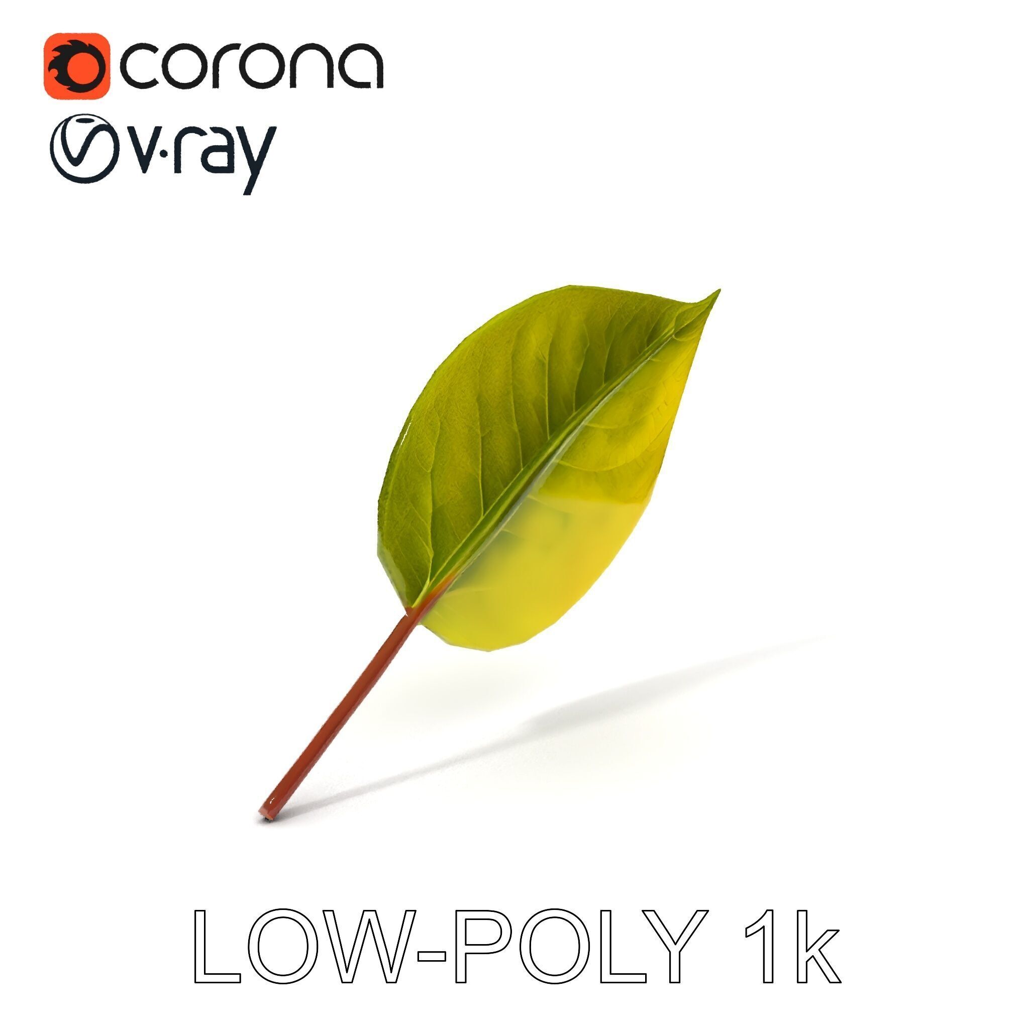Realistic Leaf Model Pack for Rendering and Game Design Low-poly 3D model_16