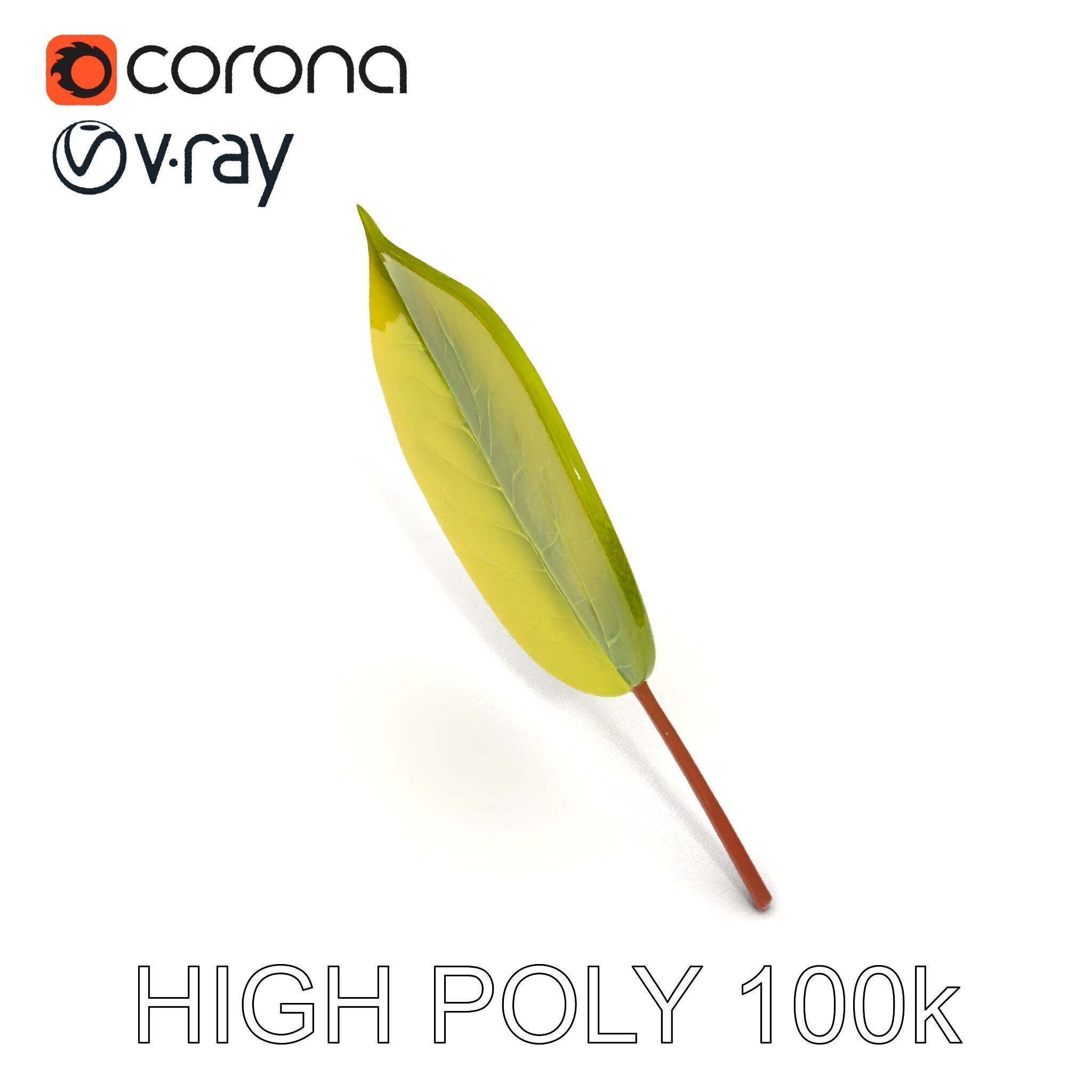 Realistic Leaf Model Pack for Rendering and Game Design Low-poly 3D model_23