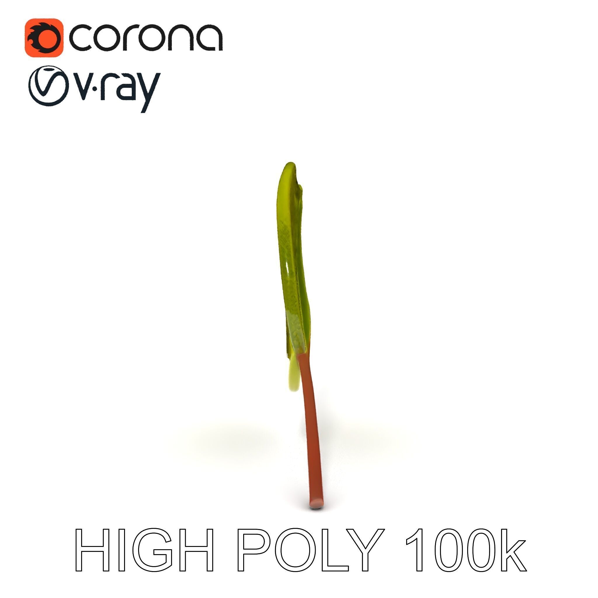 Realistic Leaf Model Pack for Rendering and Game Design Low-poly 3D model_8