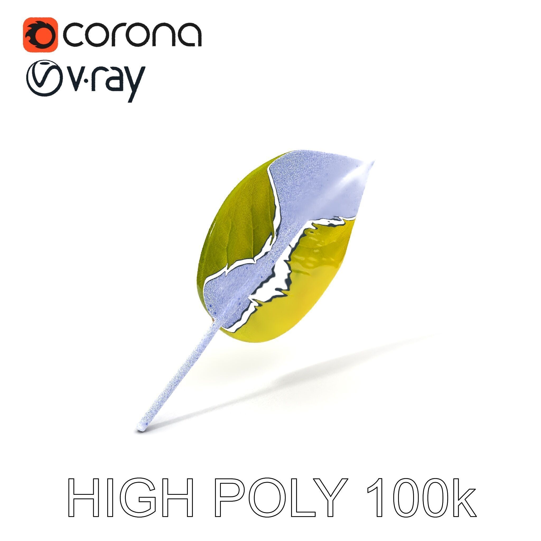 Realistic Leaf Model Pack for Rendering and Game Design Low-poly 3D model_3