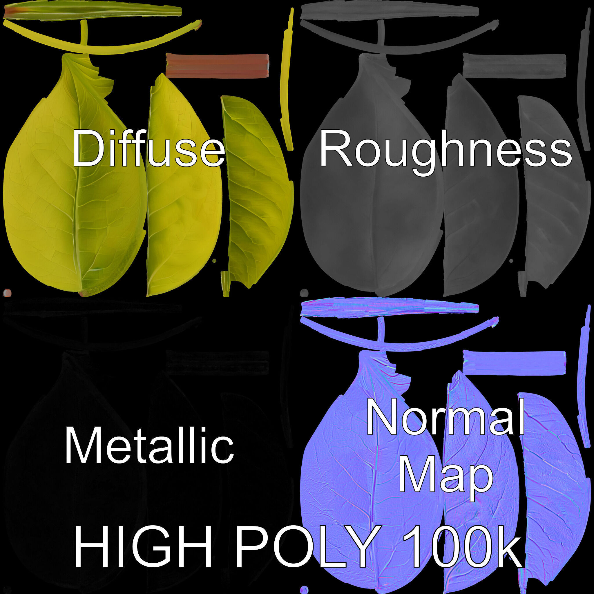 Realistic Leaf Model Pack for Rendering and Game Design Low-poly 3D model_2