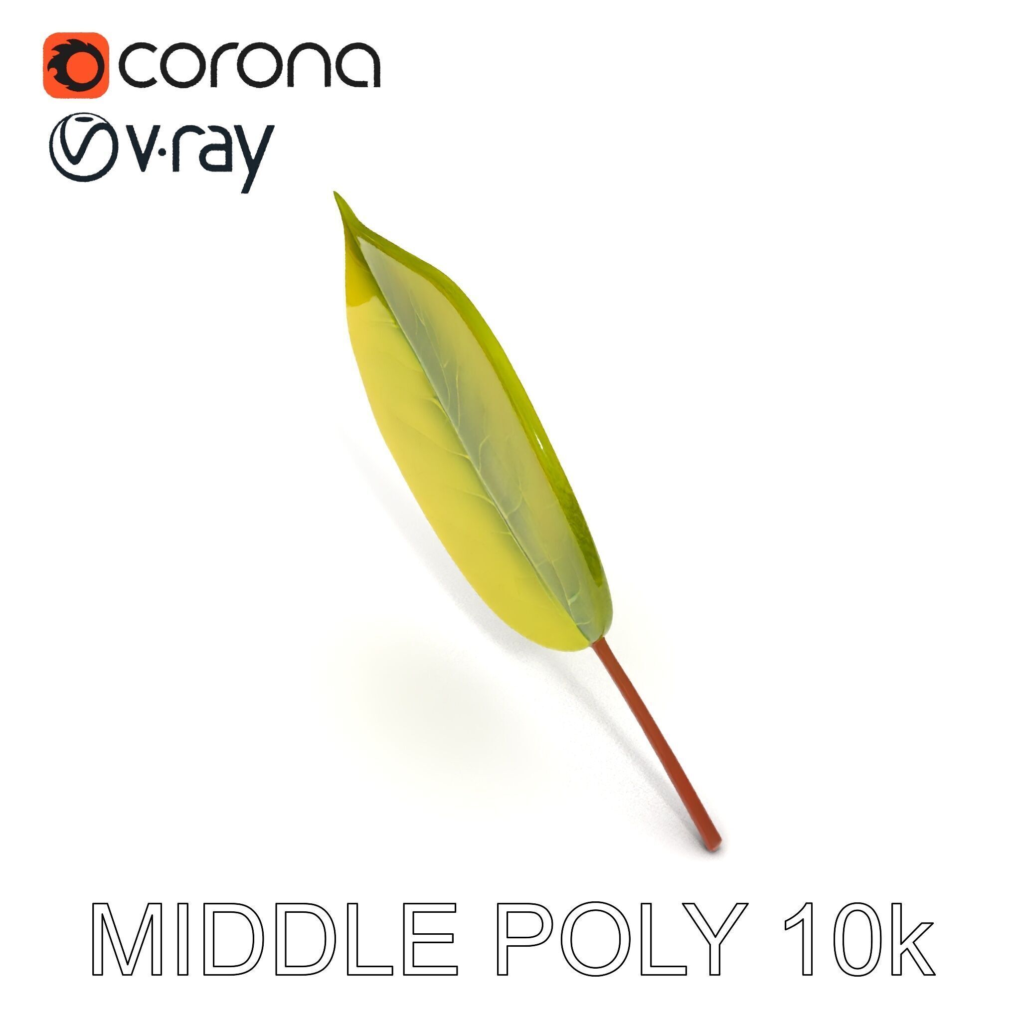 Realistic Leaf Model Pack for Rendering and Game Design Low-poly 3D model_18
