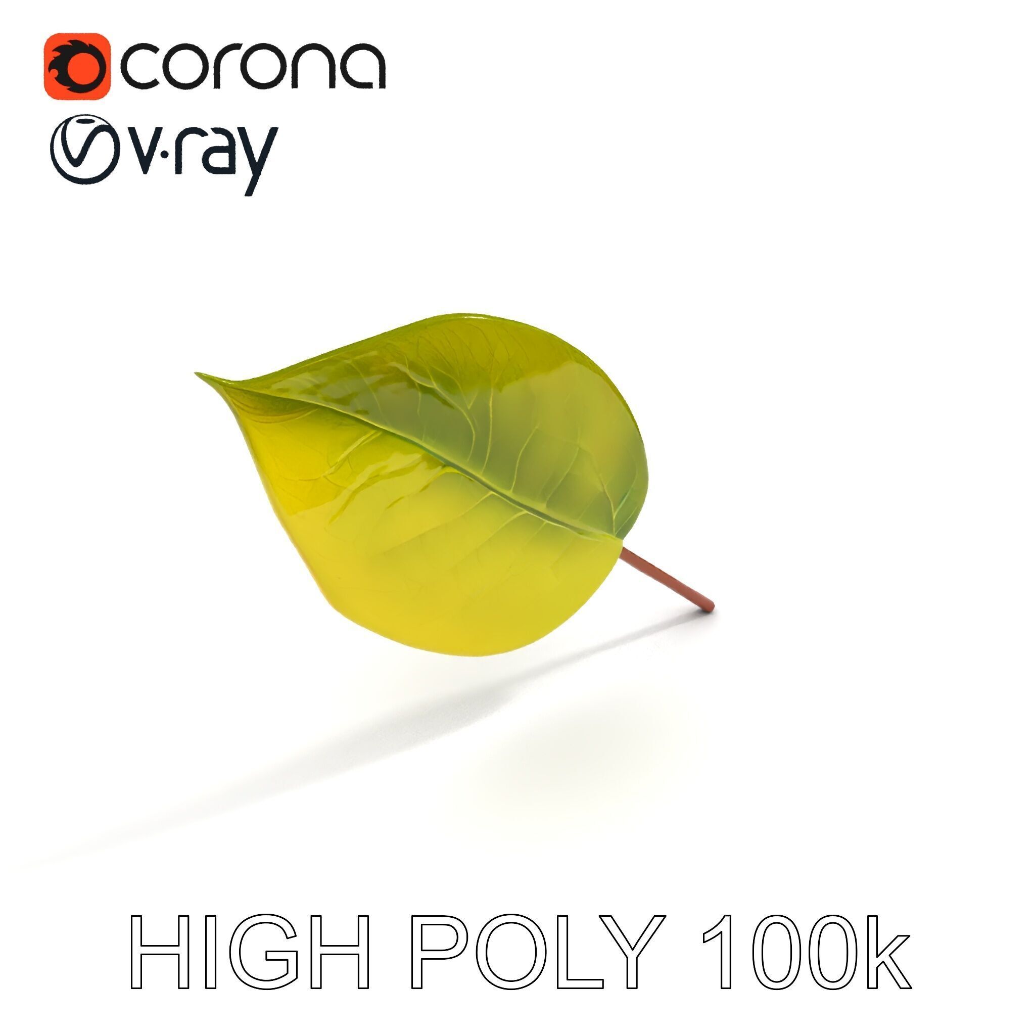 Realistic Leaf Model Pack for Rendering and Game Design Low-poly 3D model_17