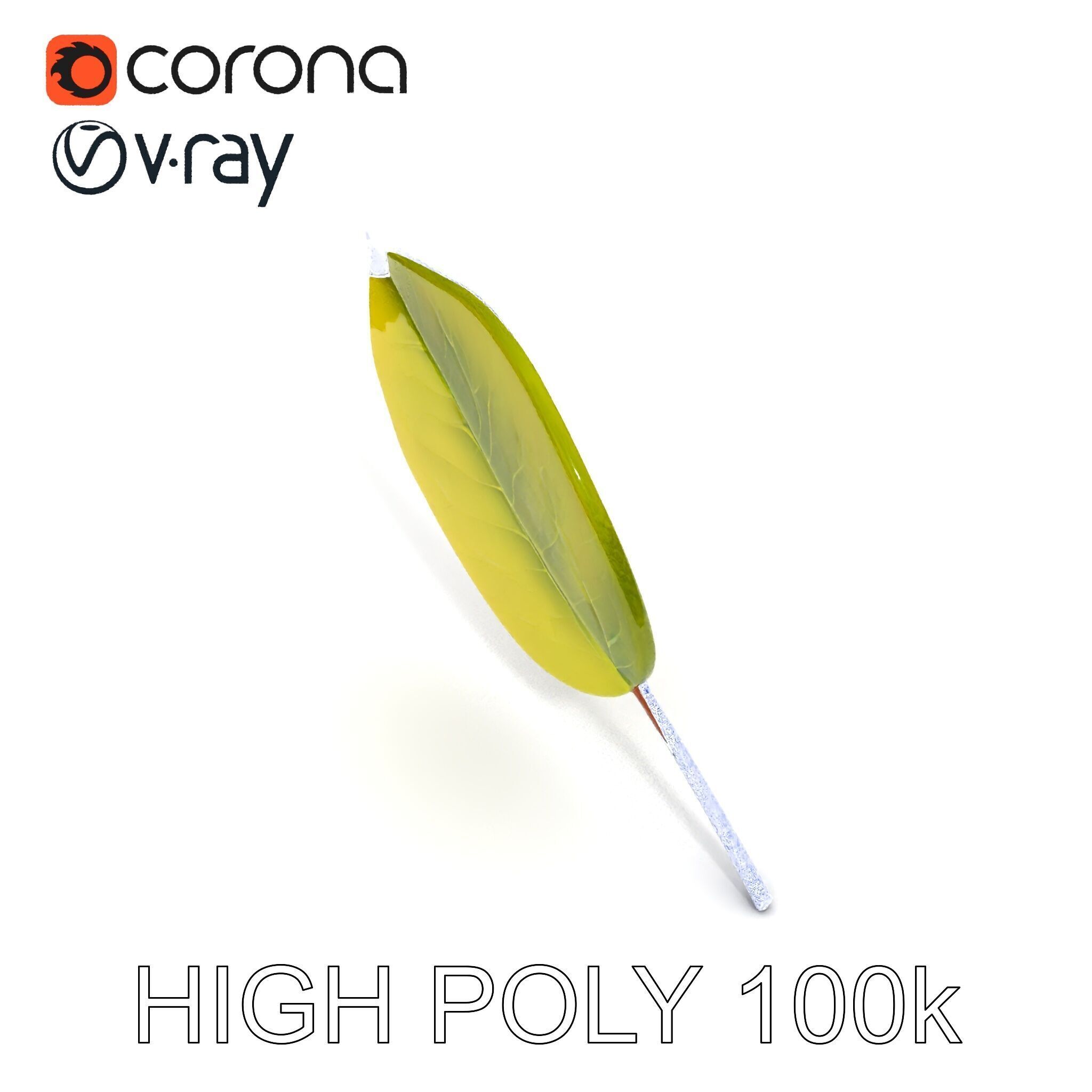 Realistic Leaf Model Pack for Rendering and Game Design Low-poly 3D model_26