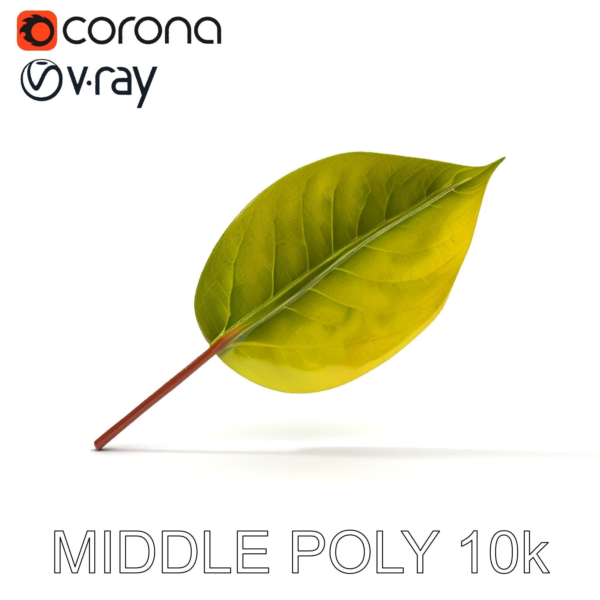 Realistic Leaf Model Pack for Rendering and Game Design Low-poly 3D model_27