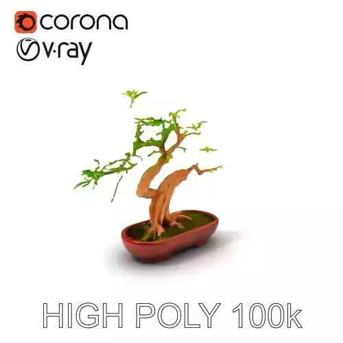 Realistic Bonsai Tree D Model Pack