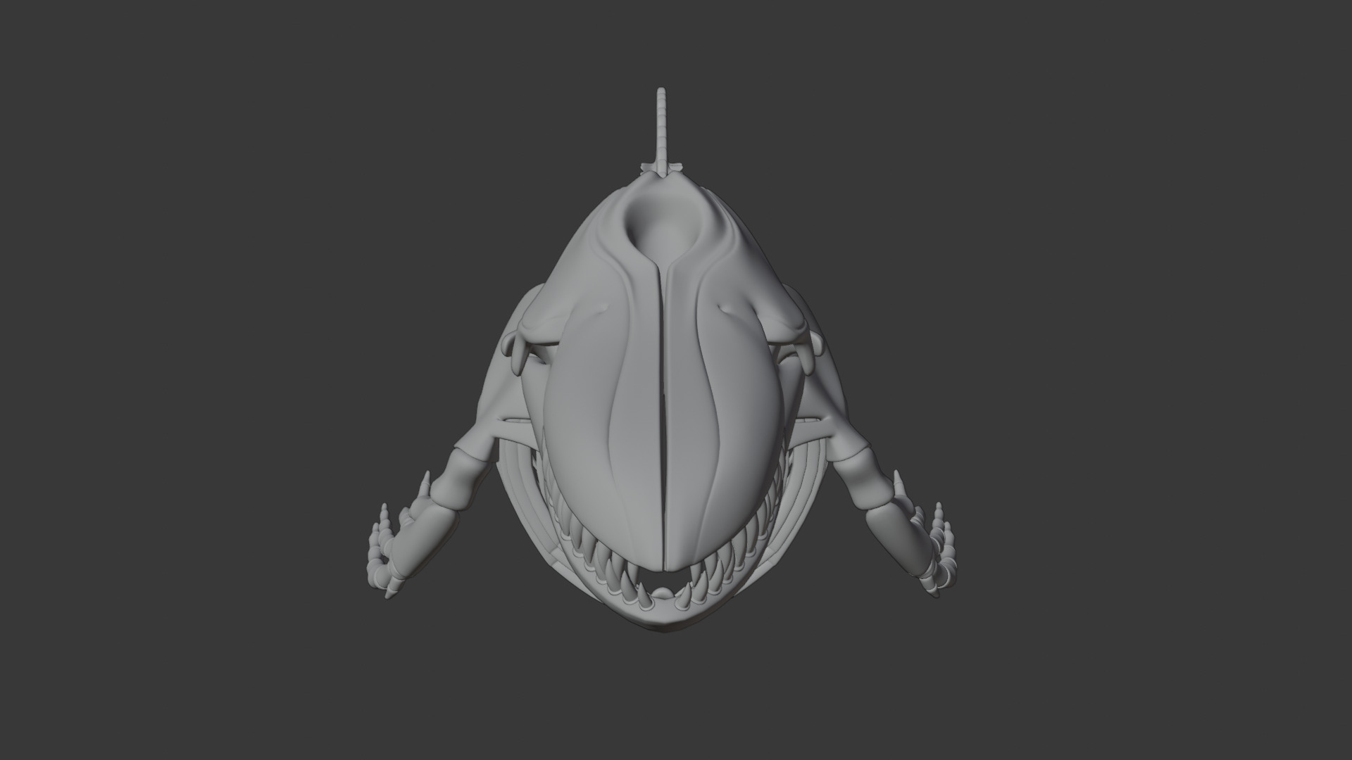 Killer Whale Orca Skeleton 3D Model Clean Topology 3D model_10