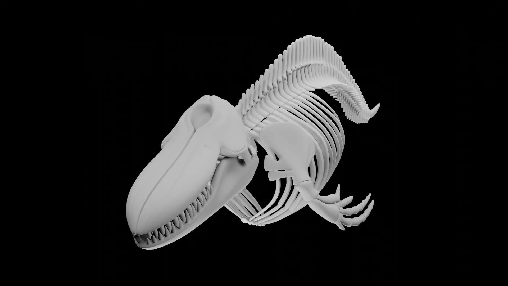Killer Whale Orca Skeleton 3D Model Clean Topology 3D model_0