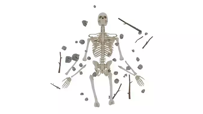 Remains 3D model