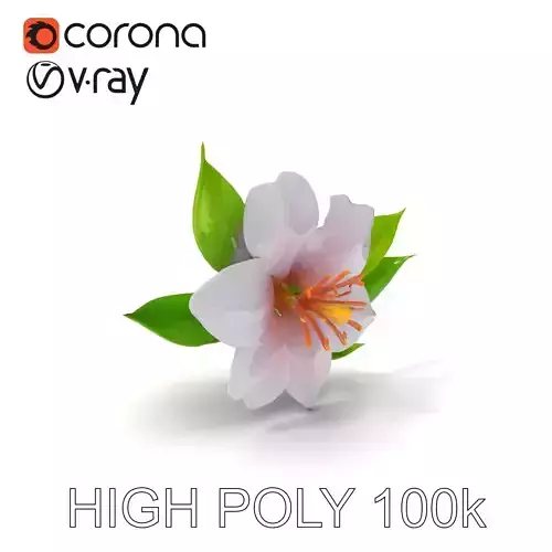 Realistic Hibiscus Flower Model Pack for D Rendering and Anim... Low-poly 3D model