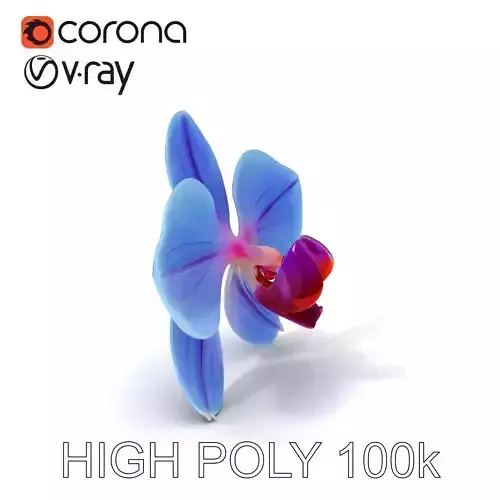 Orchid Bloom D Model Pack Low-poly 3D model