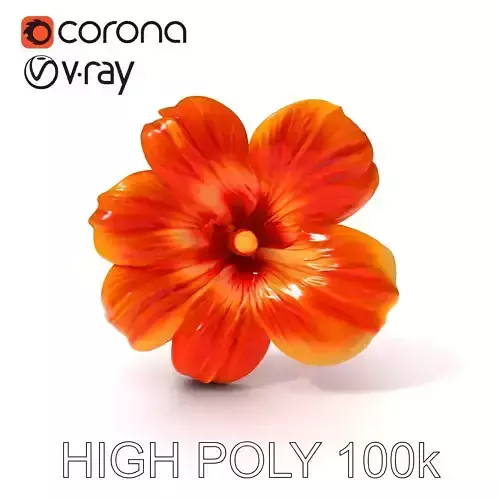 Vibrant Orange Flower Model Pack Low-poly 3D model