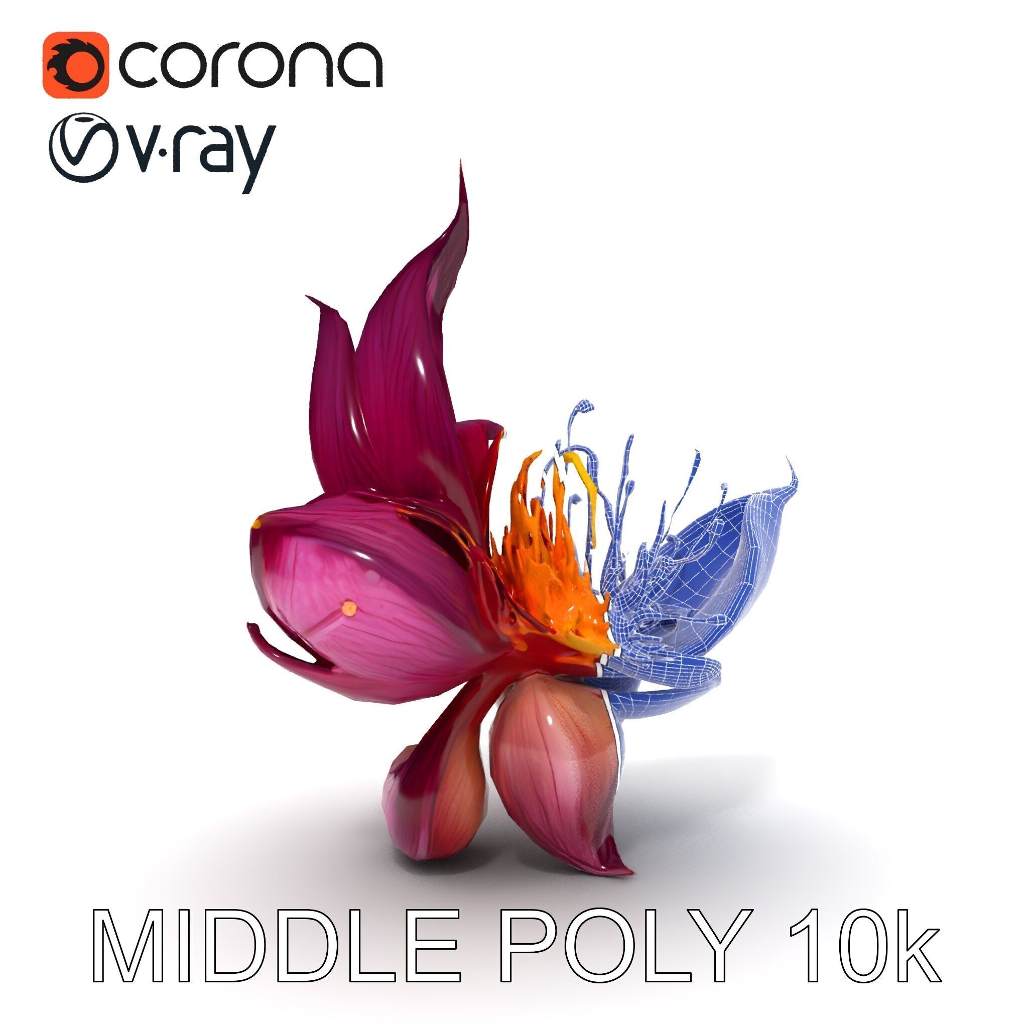 Exotic Flower Model Pack with PBR Textures Low-poly 3D model_6