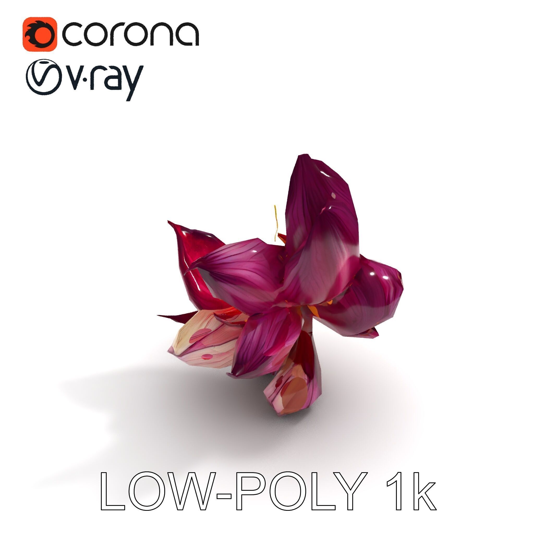 Exotic Flower Model Pack with PBR Textures Low-poly 3D model_28