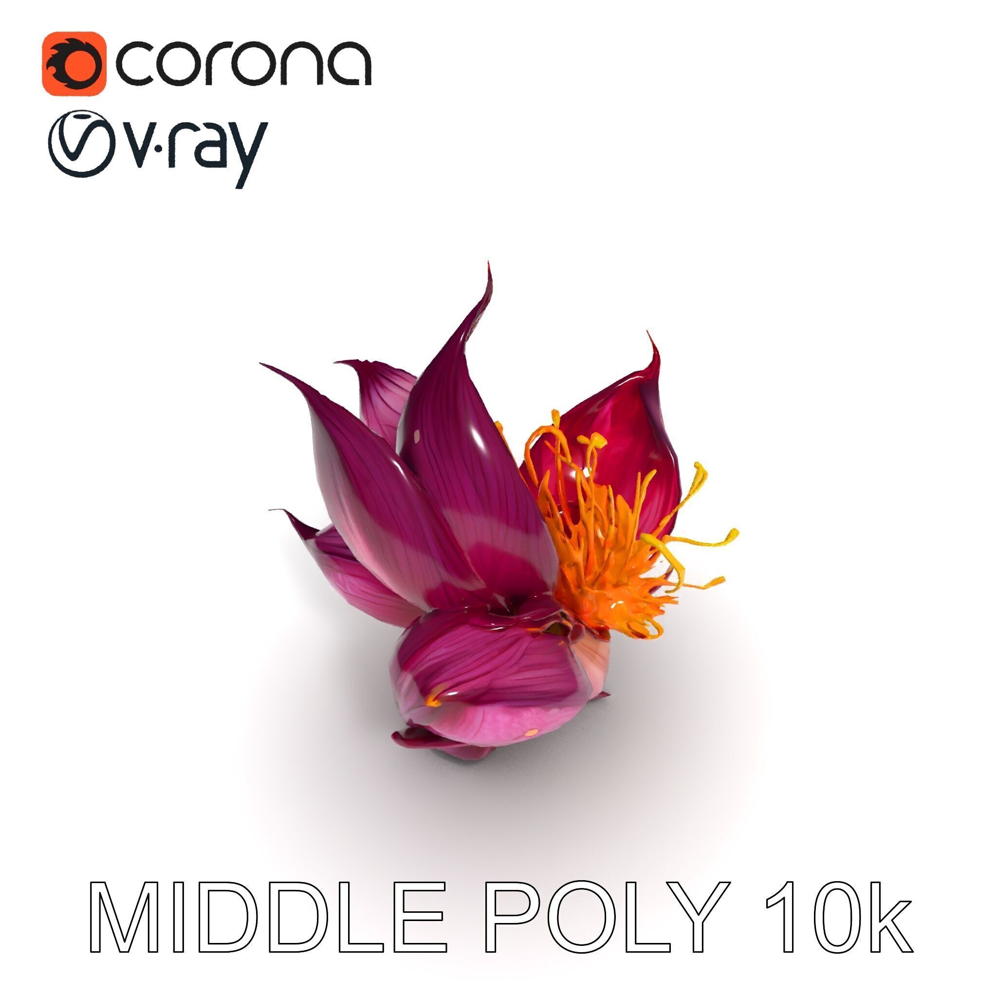 Exotic Flower Model Pack with PBR Textures Low-poly 3D model_16