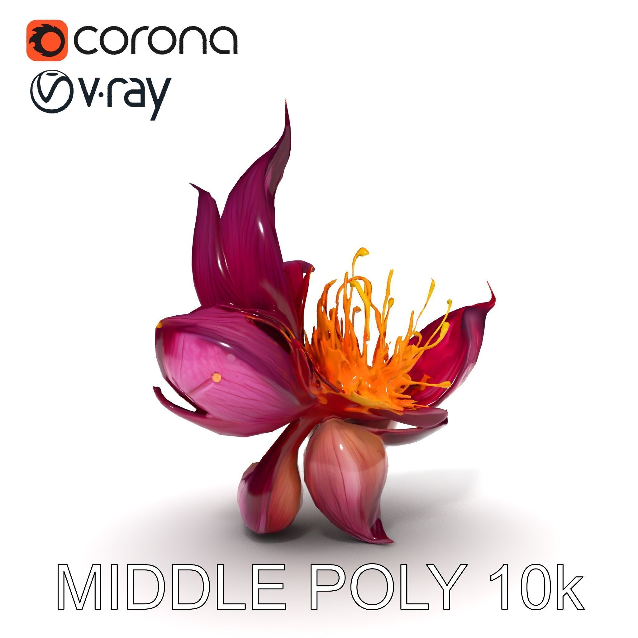 Exotic Flower Model Pack with PBR Textures Low-poly 3D model_27