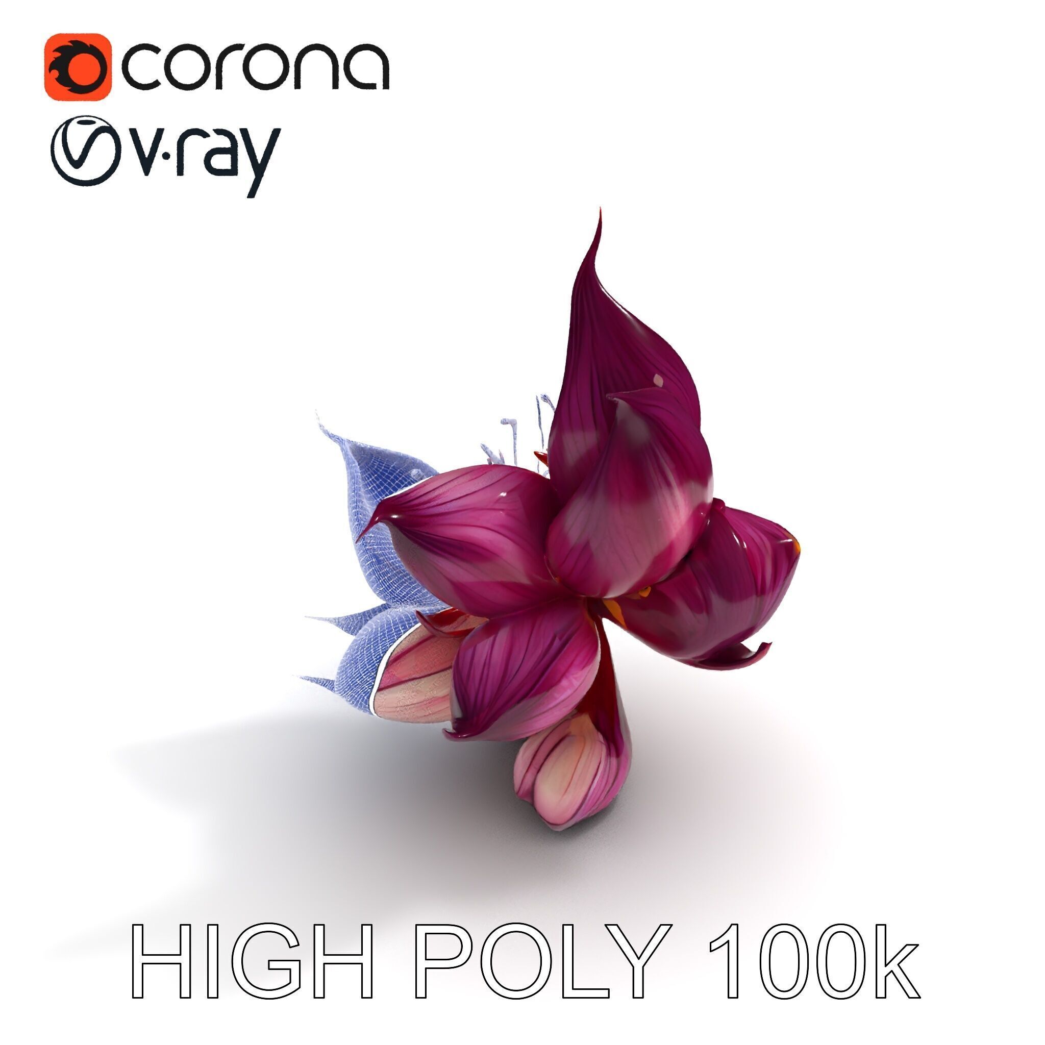 Exotic Flower Model Pack with PBR Textures Low-poly 3D model_21